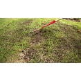 thumbnail image 3 of Turf Builder Quick+Thick Grass Seed - Sun and Shade Mix, 4 kg, 3 of 7