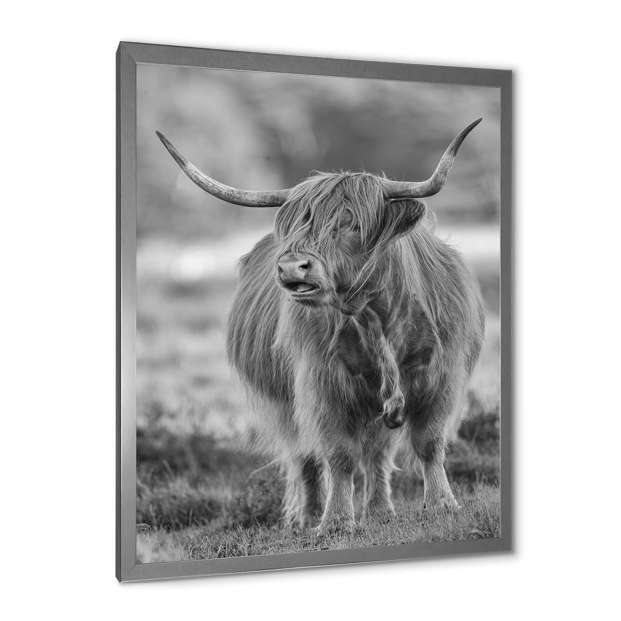 Designart 'Close Up View of Monochrome Bull' Farmhouse Framed Art Print