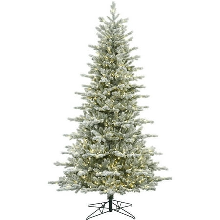 6.5 Christmas Tree With Lights Vickerman 6.5' Frosted Eastern Frasier Fir Artificial Christmas Tree with 500 Warm White LED Lights ()