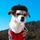thumbnail image 5 of Boina para perro, gorro para mascota, sombrero de fiesta para perro o gato, disfraz de fiesta para mascota, gorro para cachorro, gorro de fiesta para gato de cosplay, 5 of 7
