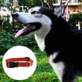 thumbnail image 3 of Collar LED para perros, collar para mascotas con luz recargable por USB, collar de seguridad nocturno con luz, 3 of 5