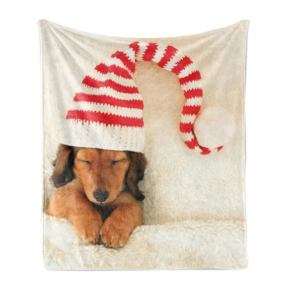 Dachshund Soft Flannel Fleece Throw Blanket, Sleeping Puppy Wearing a Christmas Elf Hat, Cozy Plush for Indoor and Outdoor Use, 70" x 90", Ivory Cinnamon, by Ambesonne