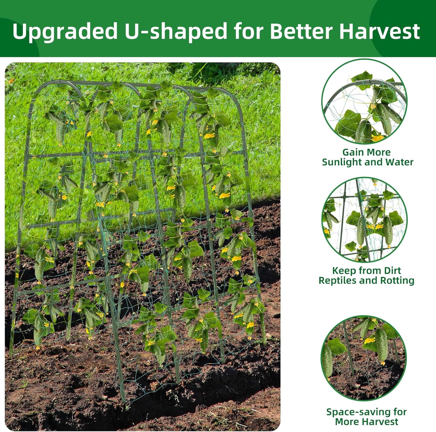 65"×50" Cucumber Trellis for Raised Bed,Tall Metal Arch Garden Trellis for Climbing Plants Outdoor,Vegetables,Plant Support Peas,Fruit,Flower,Grape,Tomato, Bean