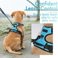 thumbnail image 7 of GoodTool Dog Harness, Night Reflective Pet Harness with 2m Dog Leash for Small to Medium Dogs, 7 of 7
