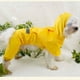 thumbnail image 4 of Greeniant Chubasquero para mascotas, chubasquero reflectante mediano grande, chaqueta Adorable, ropa transpirable para exteriores para cachorros, Ropa para mascotas XS, 4 of 6