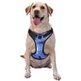 thumbnail image 1 of Fotbe Red And Blue Fire Dragon Arnés para Perro con Estampado –Chaleco Ajustable Acolchado con Asa de Control para Perros Grandes-Small, 1 of 6