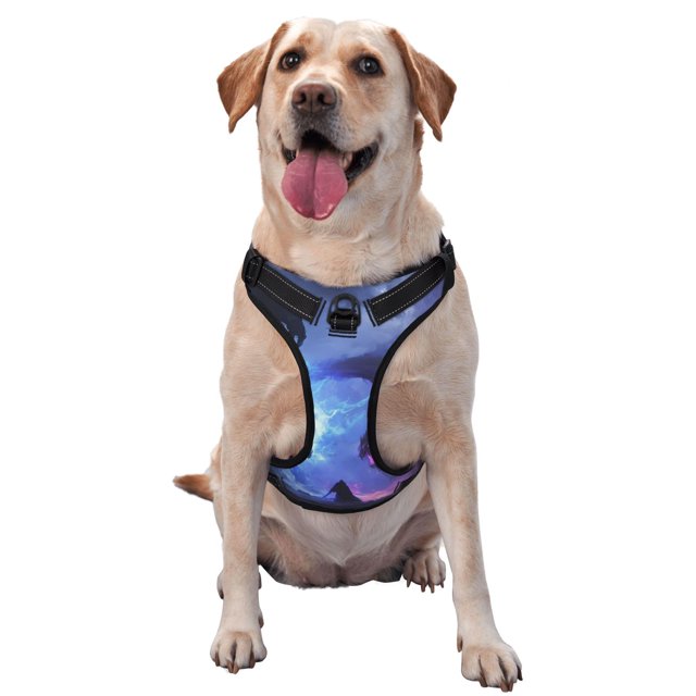 Fotbe Red And Blue Fire Dragon Arnés para Perro con Estampado –Chaleco Ajustable Acolchado con Asa de Control para Perros Grandes-Small
