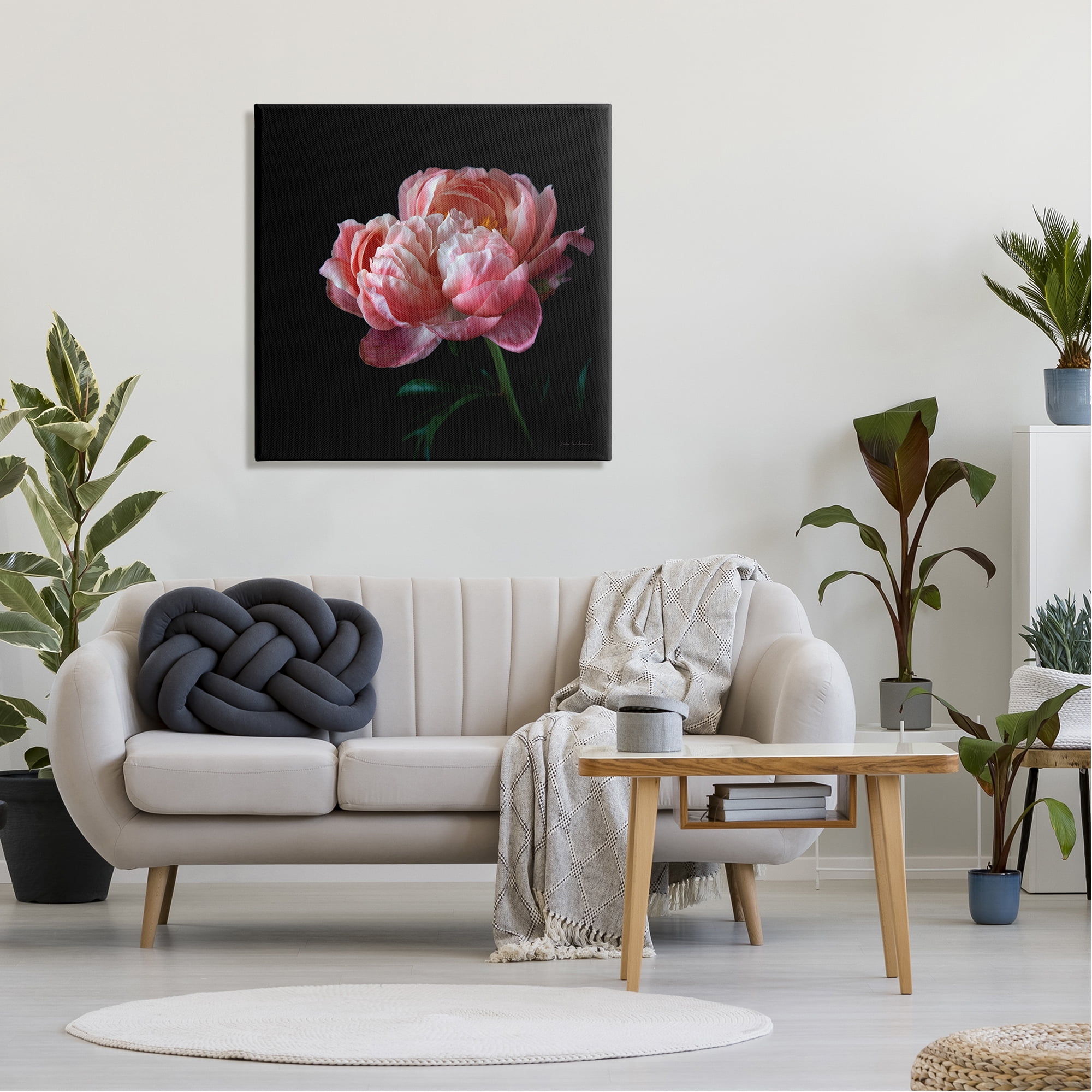 Stupell Industries Dark Rose Photography Botanical & Floral Photography Gallery Wrapped Canvas Art Print Wall Art, 30 x 30