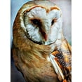 thumbnail image 2 of Aldridge, Ashley 25x32 Black Ornate Wood Framed with Double Matting Museum Art Print Titled - Barn Owl Heart Faced Hunter, 2 of 4