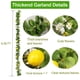 thumbnail image 2 of Guirnalda artificial de limones Hamifinee mejorada con luces de 2 m de largo, 2 of 6
