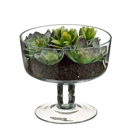 6.75" Artificial Spring Succulent Garden in Decorative Clear Glass Vase