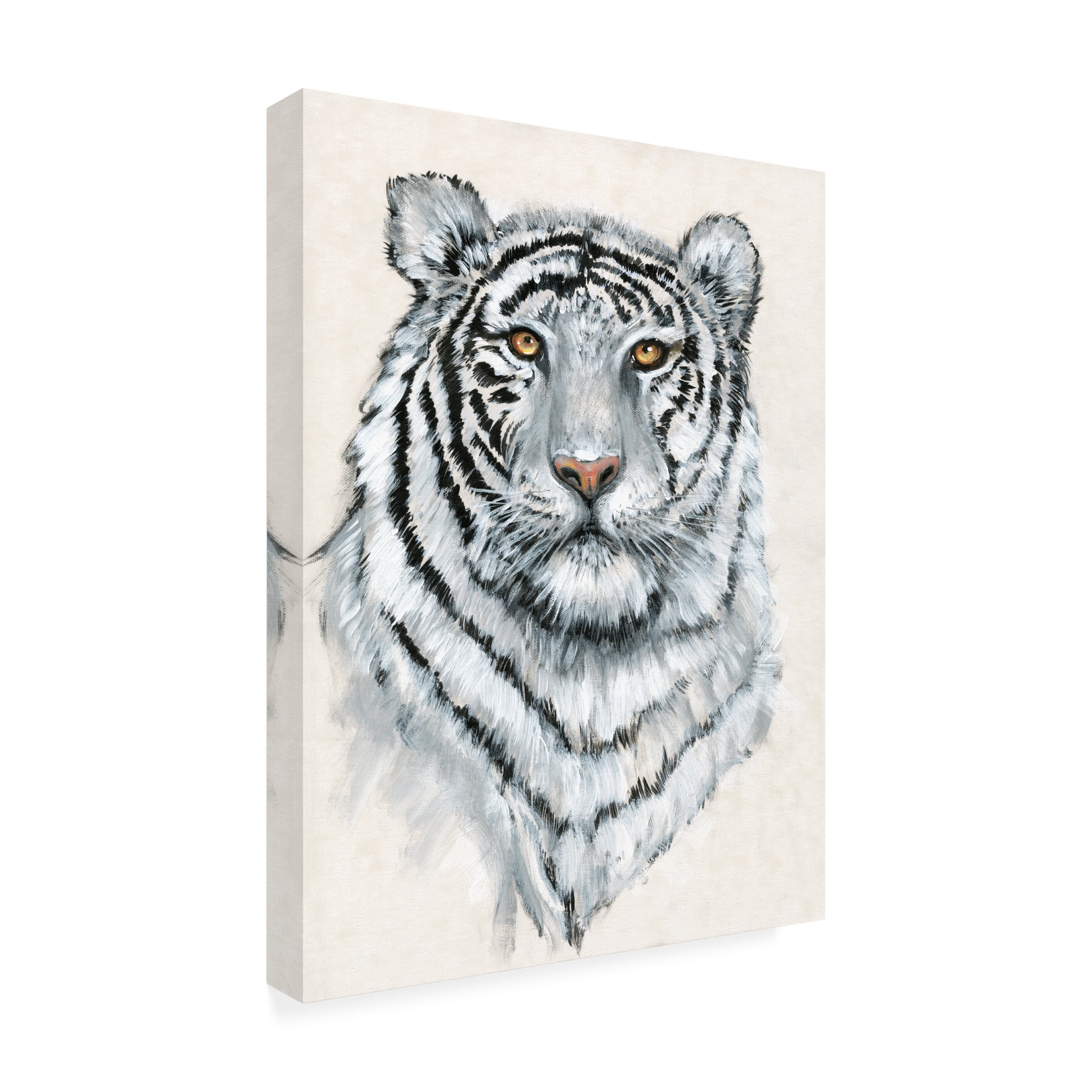 Tim OToole 'White Tiger II' Canvas Art