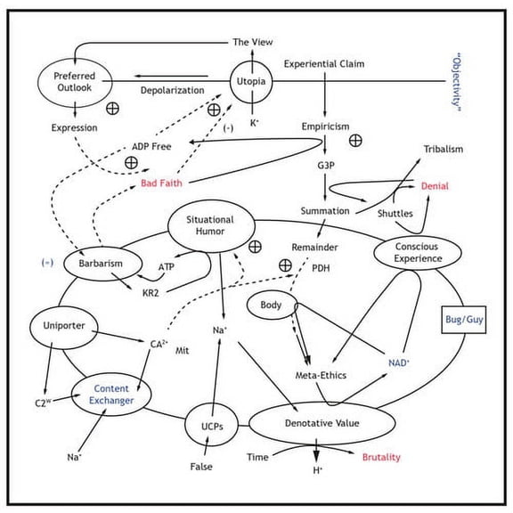 Matt Carlson - View From Nowhere - Electronica - Vinyl