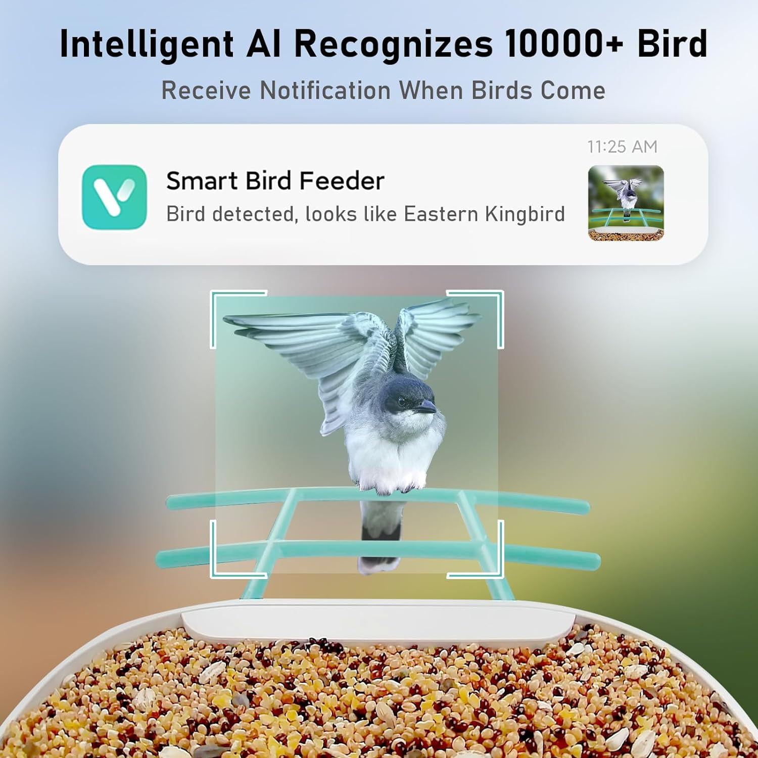HEAIHYD Smart Bird Feeder Camera with Solar Panel, 1.8L Capacity, Blue
