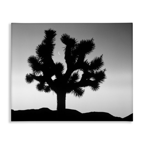 Stupell Industries Rustic Lodge Monochrome Moonlit Desert Tree Canvas Art, 30 x 24, by Dennis Frates