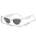 thumbnail image 2 of Lunettes de Soleil Mode Femmes Hommes Lunettes Multicolores Monture en Plastique Style de Rue Lunettes de Protection, 2 of 6
