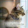 thumbnail image 2 of Country Brook Petz® Red Cedar Argyle Cat Collar, 2 of 7
