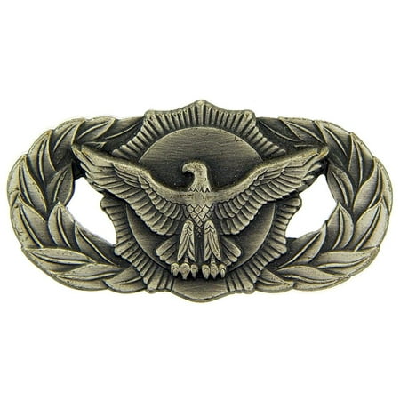 U.S. Air Force Security police Pin 1 5/8