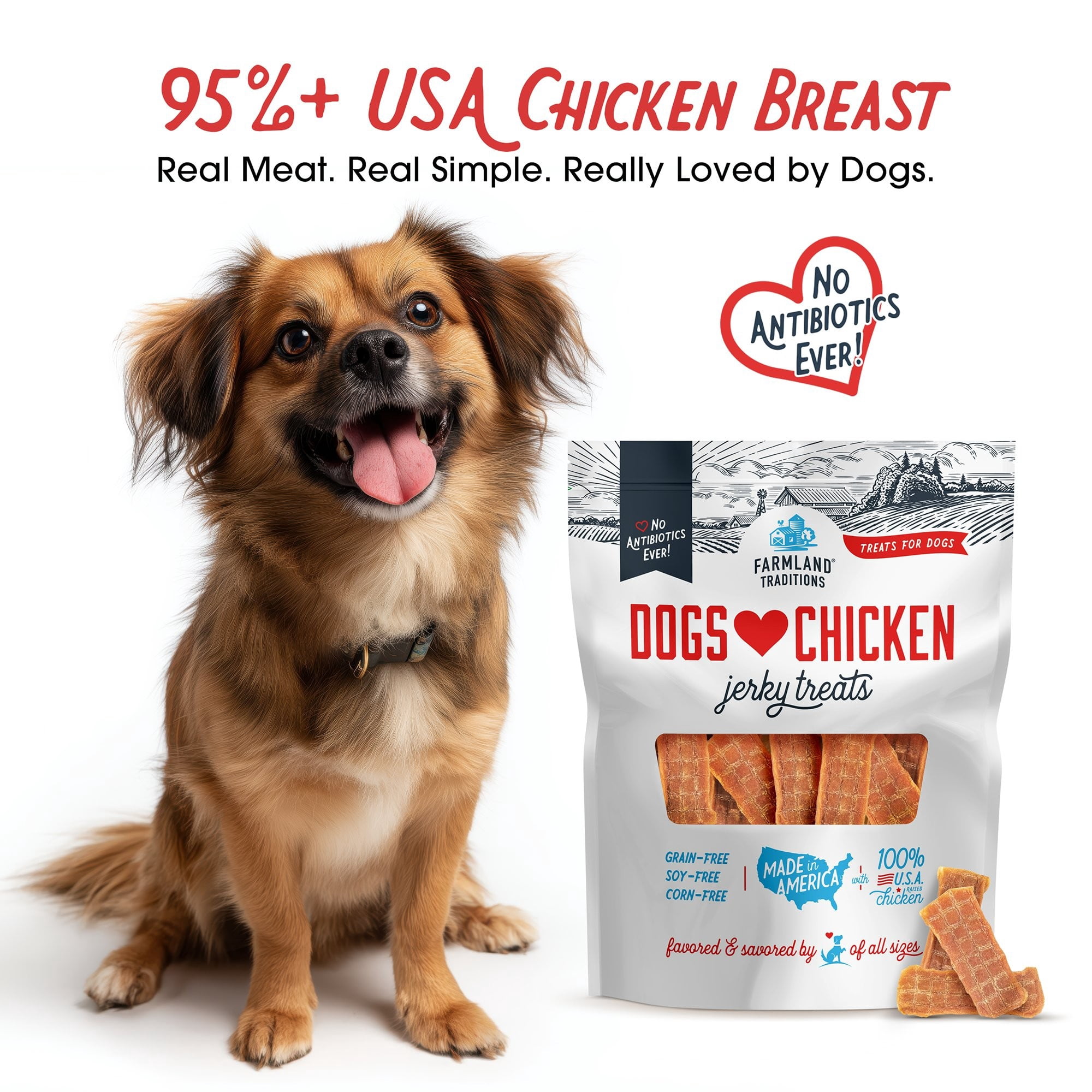 Farmland Traditions Dogs Love Chicken Jerky Dog Treats, Premium Two-Ingredient Dog Jerky with USA-Raised Chicken & No Antibiotics Ever, 3-Pound Bag