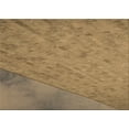 thumbnail image 1 of Ahgly Company Machine Washable Indoor Rectangle Transitional Sienna Brown Area Rugs, 5' x 8', 1 of 7