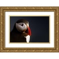 thumbnail image 1 of Ennedi 24x17 Gold Ornate Wood Framed with Double Matting Museum Art Print Titled - Puffin portrait, 1 of 4