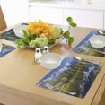 thumbnail image 4 of Ambesonne Outdoor Place Mats Set of 4, Mountain Lake Evergreen, Standard Size, Blue Green White, 4 of 6