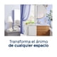 thumbnail image 3 of Aromatizante ambiental Glade sandía refrescante 100 ml y 6 varitas, 3 of 4