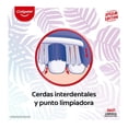thumbnail image 4 of Cepillo Dental Colgate 360° Geometric Special Edition 3 Pzas, 4 of 4
