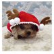 thumbnail image 3 of Mascota perro gato con sombrero cachorro invierno con capucha chal cubierta chal para Navidad, S Rojo Verde RV011031-01214SDJ, 3 of 5