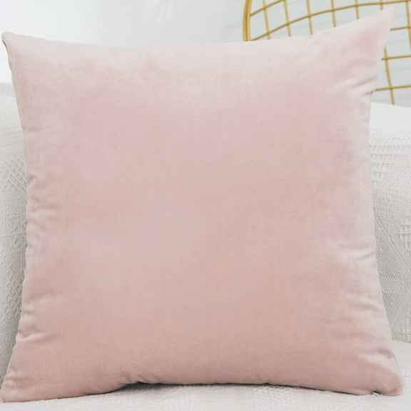 Dtwnek Decorative Velvet Throw Pillow Covers Soild Square Cushion Case for Sofa Bedroom Office, 16 x 16 inch