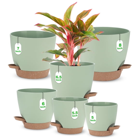 TIJITY 6-Pack Self Watering Planter, Plastic Flower Pots with Drainage Hole and Saucers, Nursery Planting Pot for Indoor Out Door Plants, 8 7 6.5 6 5.5 5 Inch, Green
