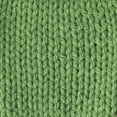 thumbnail image 4 of CARON ONE POUND YARN (454G/16OZ), GRASS GREEN, 4 of 4