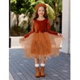 thumbnail image 4 of Arshiner Toddler Girls Dresses Sparkly Tulle Dress Fall winter Velvet Dresses for Toddler, Irregular Tulle and Cute Bowknot Design, Great for Halloween Christmas Holiday Party, 4 of 5