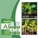 thumbnail image 5 of Polvo nutritivo para cultivo sin suelo. Cultivo hidropónico familiar. Promoción eficiente del crecimiento. Incremento de nutrientes para las plantas., 5 of 9