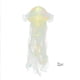 thumbnail image 1 of Lámpara de Medusa, Colorida Temática Oceánica, Borlas Brillantes, Material Plástico Reutilizable, Decoración para Habitación y Jardín, Accesorios para Fiesta de Sirena, 5 Colores, Juego de 2 Piezas, 1 of 7