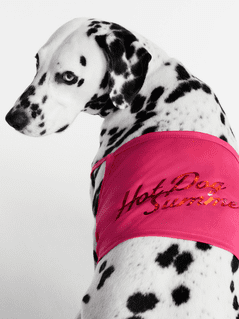 Hot Dog Summer By Megan Thee Stallion Bubblegum Barkini Dog Bikini, Pink, Extra Small