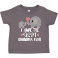 thumbnail image 3 of Inktastic Grandchild Best Grandma Ever Boys or Girls Toddler T-Shirt, 3 of 5