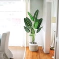 thumbnail image 7 of [ 2Pack ] 60 inchs Artificial Tree Bird of Paradise with 10Trunks, 5 Feet Faux Plant Fake Banana Tree Plant with Pot for Home, Decor, Indoor, Outdoor, Living Room, Office, 7 of 7