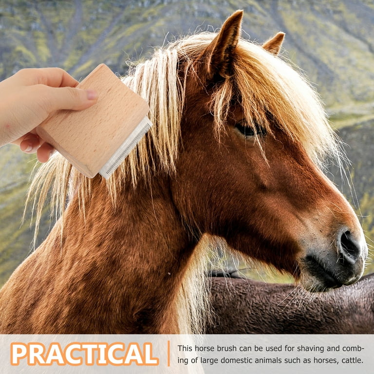Brosse Pour Cheval Et Râteau à Transpiration, Outil De Déshedding Pour Bovins Et Animaux De Compagnie, Neuf