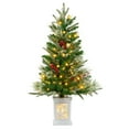thumbnail image 1 of Pre-Lit Artificial Christmas Tree, 3ft Potted Xmas Full Tree, Premium Snow Flocked Xmas Pine Tree with 50LED Lights & Flower Pot for Christmas Decoration, Home, Office, Party Decoration, 1 of 9