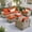 Orange Red, variant on Ovios 7 Pieces Outdoor Patio Sectional Furniture All-Weather Rattan Wicker Conversation Patio Sofa Outdoor Chairs for Backyard Balcony