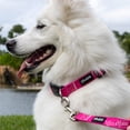 thumbnail image 2 of Mila & Maia Dog Collar and Leash Sets, Collar and Leash for Small Dogs, Vivid Pink, Includes a Poop Bag Dispenser and Holder, L, 2 of 6