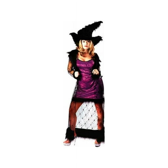 Adult Mystic Purple Witch Costume