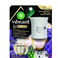 thumbnail image 1 of AirWick Vibrant™ Scented Oil Plug-in Air Freshener, 1 Warmer + 1 Refill, 1 of 1