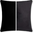 thumbnail image 1 of 20" x 20" Throw Pillow - Stable Black 2 PCS / 4 Sided. Luxurious Premium Down Alternative Fill w/ Reversible Cover Microsuede/Microplush Fabric. Forever Fluffy, Beautiful & Supportive. Soft & Comfy, 1 of 9