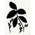 thumbnail image 2 of Jill, Susan 25x32 White Modern Wood Framed Museum Art Print Titled - Silhouette Garden II, 2 of 4