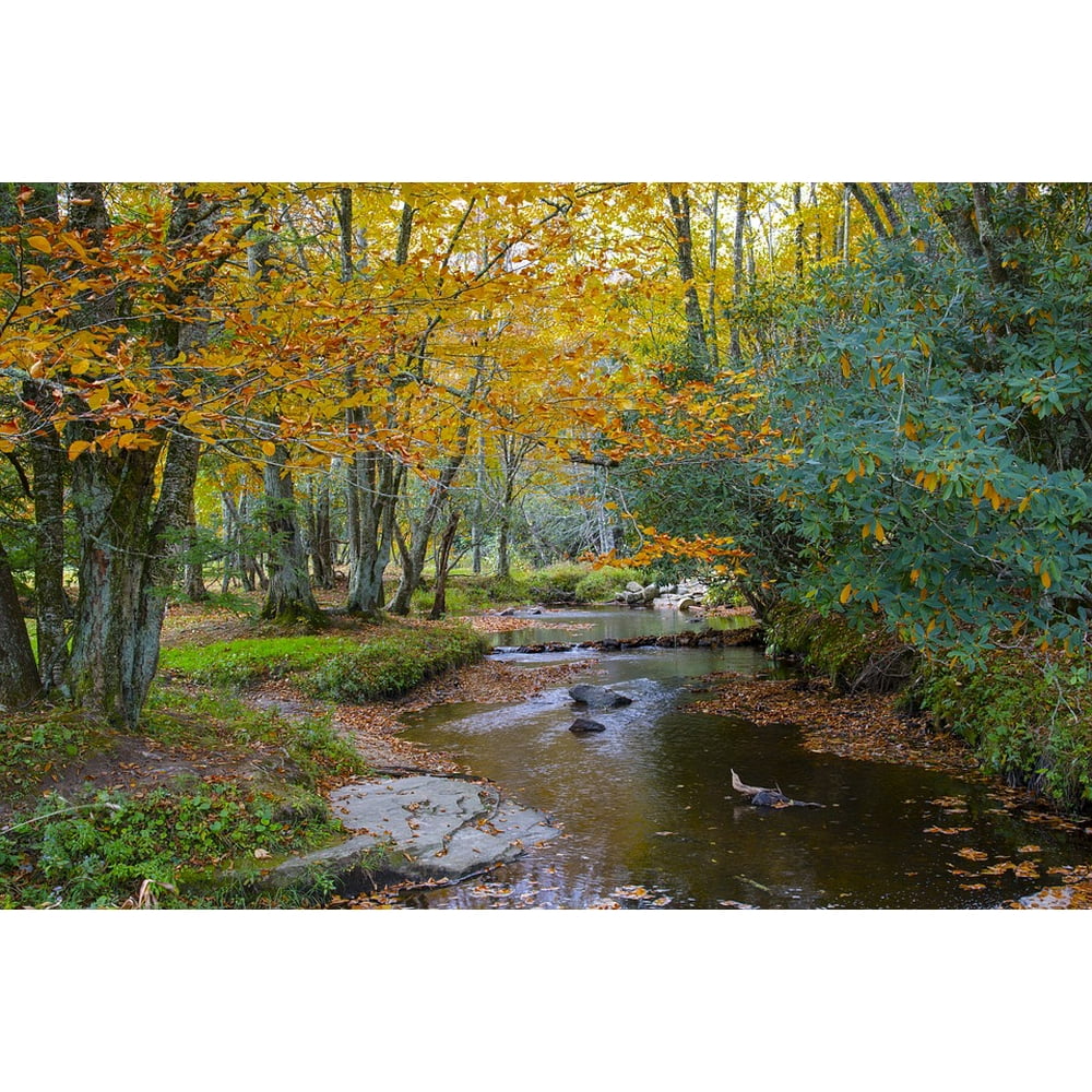 Framed Art for Your Wall Landscape Season Peaceful Autumn Scenery