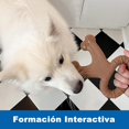 thumbnail image 2 of Juguete de Dentición Sabor Carne Resistente para Perros Medianos y Grandes, 2 of 6