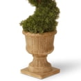 thumbnail image 2 of National Tree Company 60in Spiral Plant Artificial Cedar Tree w/ Potted Urn, 2 of 4