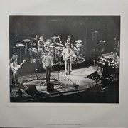 Grateful Dead - Dead Set - Music & Performance - Vinyl